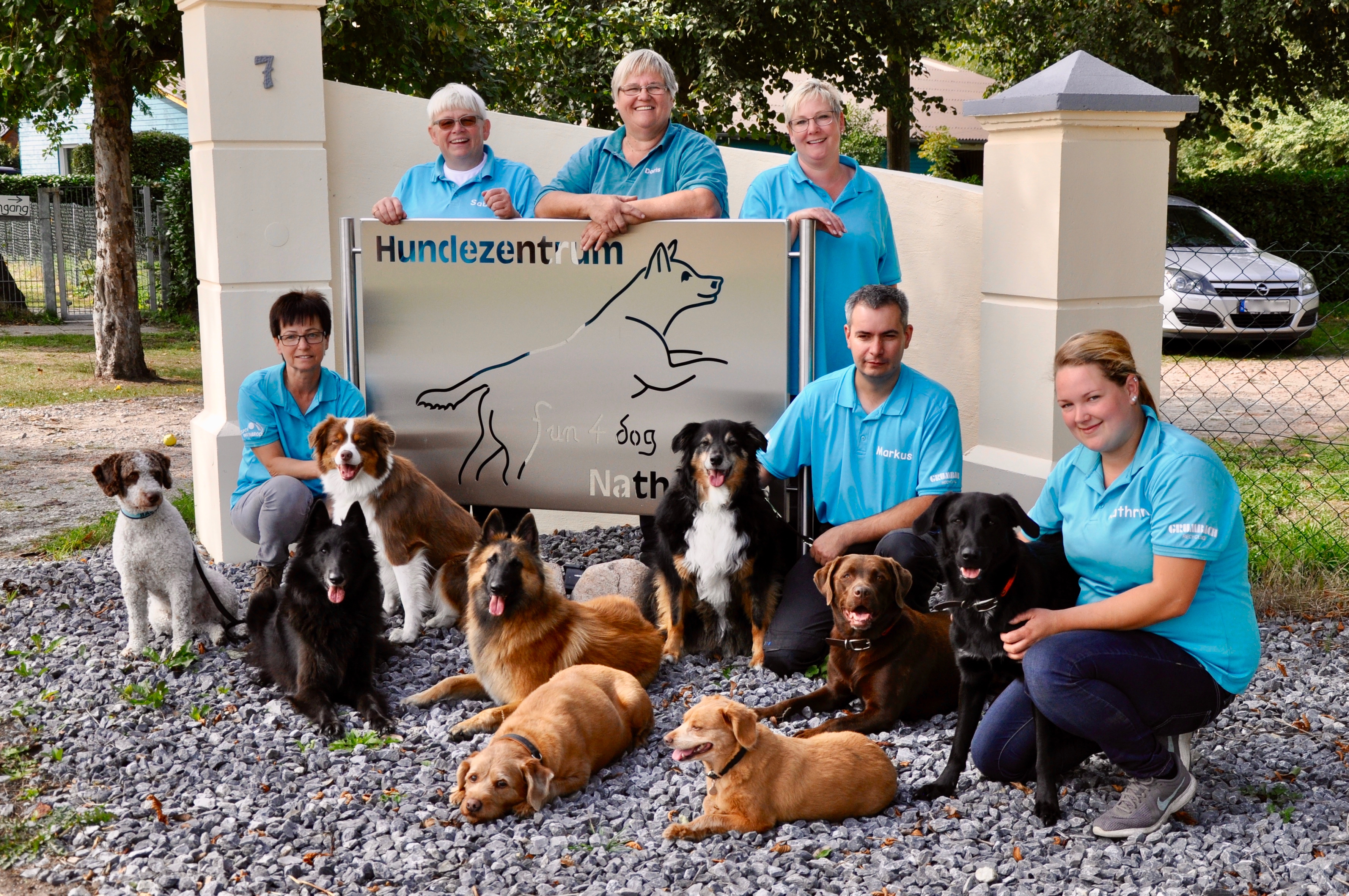 hundetrainer trainer